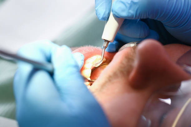 Best Walk-In Dentist Near Me  in Point Mackenzie, AK