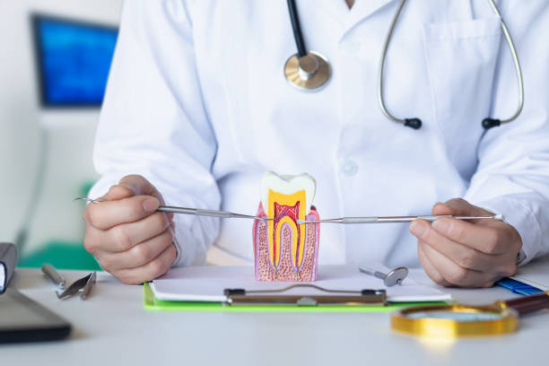 Best Cracked Tooth Emergency Dentist  in Point Mackenzie, AK